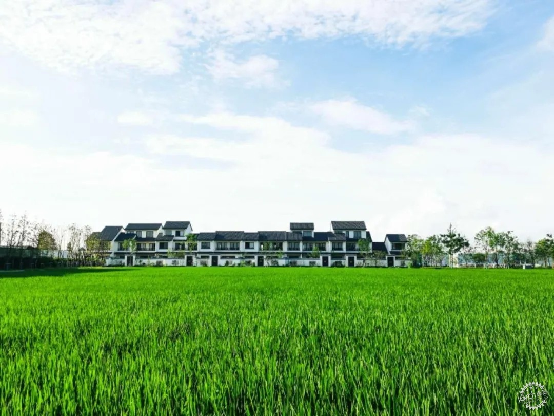 為農民而建 上海嘉定 鄉悅華亭 走通城市反哺農村路徑示範 建築idea Mdeditor