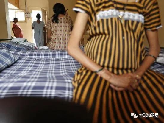 代孕工廠，在這裏 | 地球星空体育官网入口网站局