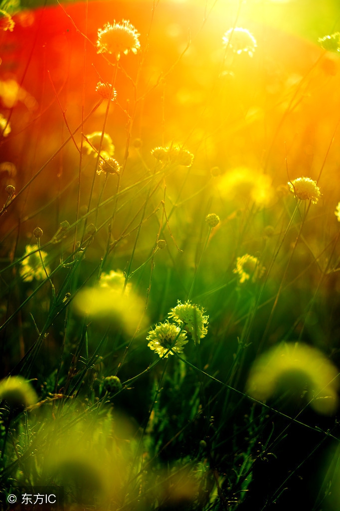 语文备考：中考阅读理解（小说  散文）考点汇总