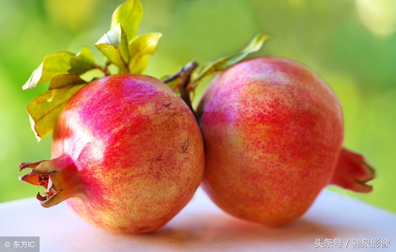 石榴性味甘 营养丰富，维生素C含量比苹果、梨要高出一二倍