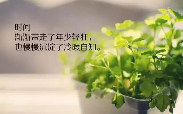 写到心窝里的人生感悟经典句子，句句走心