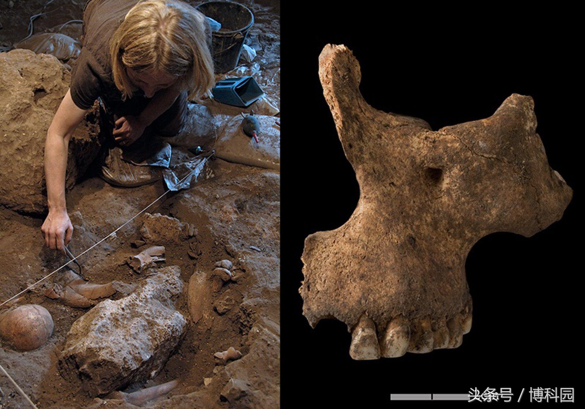 非洲最古老的人类DNA揭示一种神秘古代文化线索
