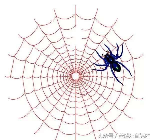 seo蜘蛛是什么，SEO优化时该规避的7类蜘蛛陷阱？