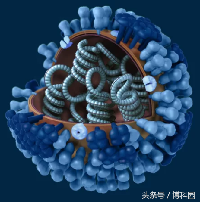 27种毁灭性传染病及病毒，你都知道吗？