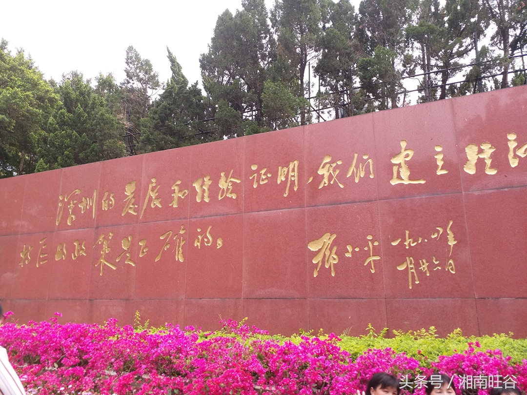 清明节登上莲花山缅怀一代伟人