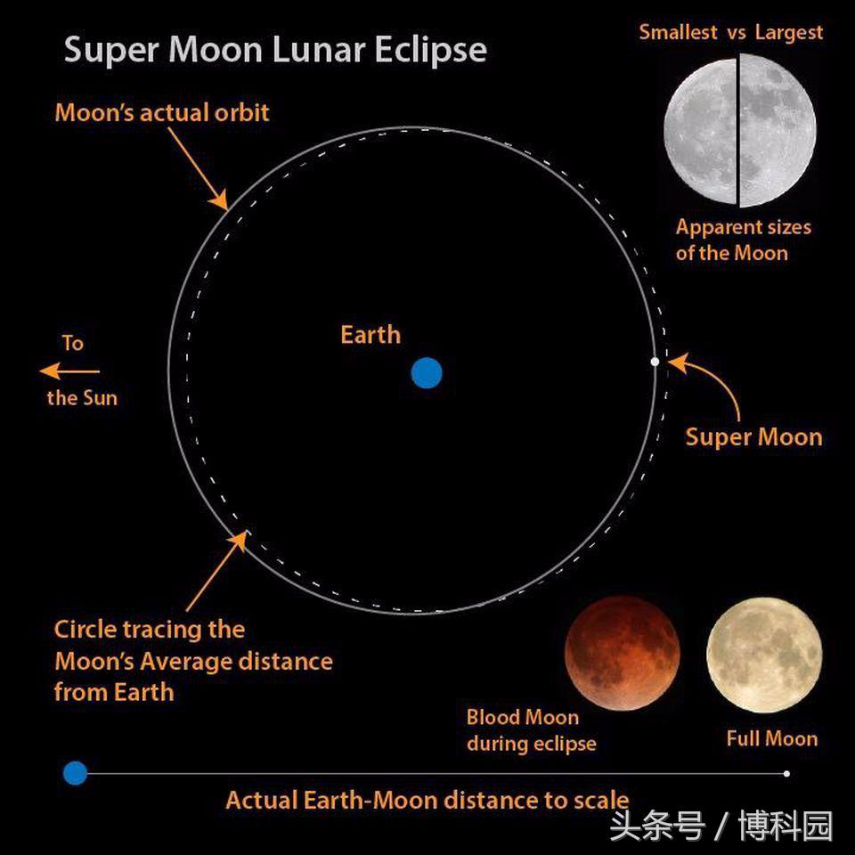 月食、超级月亮、蓝月亮、超级蓝血月究竟有多罕见？