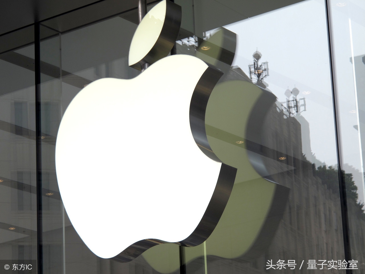 如果牛頓被榴蓮砸到，還會(hui) 發現萬(wan) 有引力嗎？