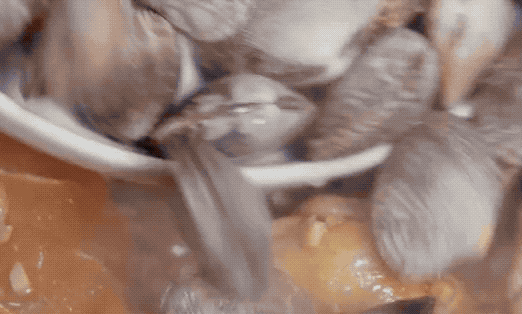 图片[7]-山东“铁锅蛤蜊鸡”的做法-起舞食谱网