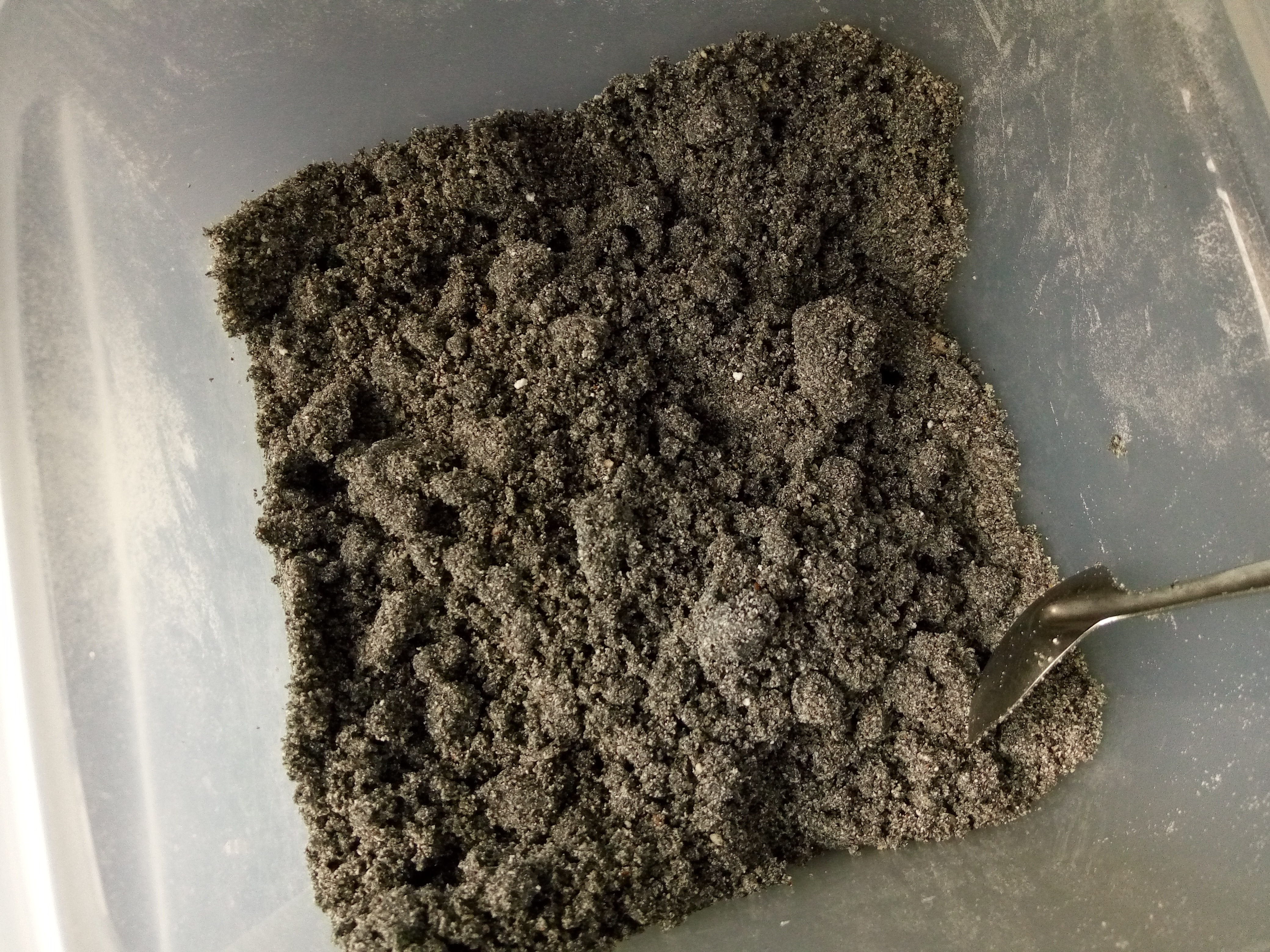 黑芝麻粉,黑芝麻粉的功效與作用