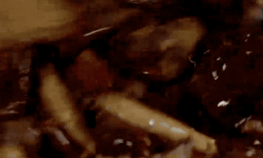 圖片[8]-做正宗的重慶辣子雞一定要放3種辣椒缺了一樣都不好吃-起舞食譜網