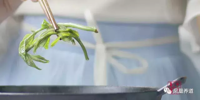 春季养生宝典!10种在家就能做的食疗菜谱 食疗养生 第26张 春季养生宝典!10种在家就能做的食疗菜谱 食疗养生 第26张