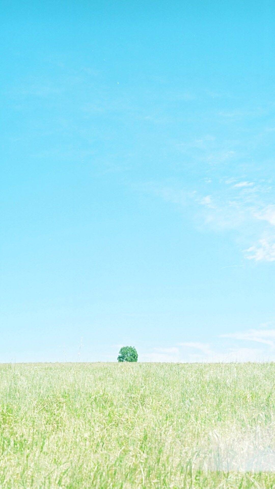 唯美风景意境图,美的不像话的图片