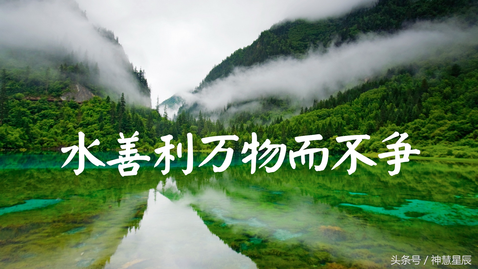 上善若水原文及翻译及注释上善若水是什么