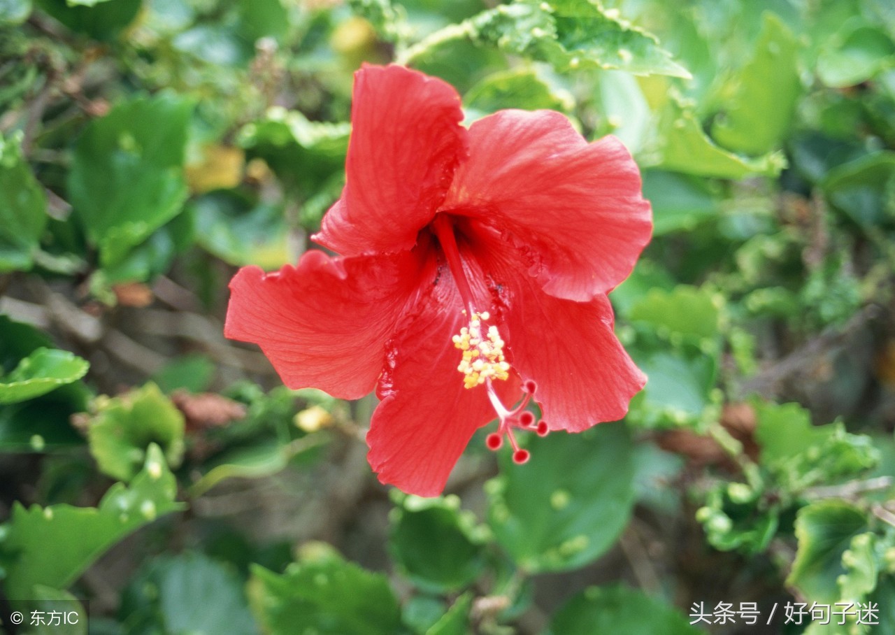 微信朋友圈送别朋友的祝福语 简短的离别祝福语图片