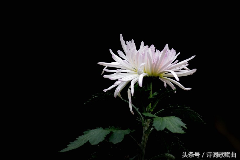 爱国情怀绝妙诗词十首，这才是铁骨铮铮的英雄气概-第2张图片-非凡网