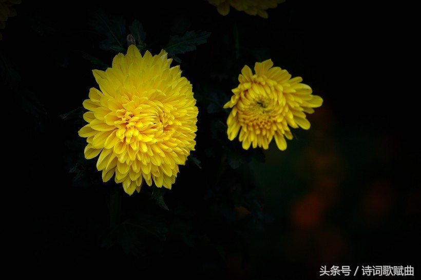 爱国情怀绝妙诗词十首，这才是铁骨铮铮的英雄气概-第8张图片-非凡网