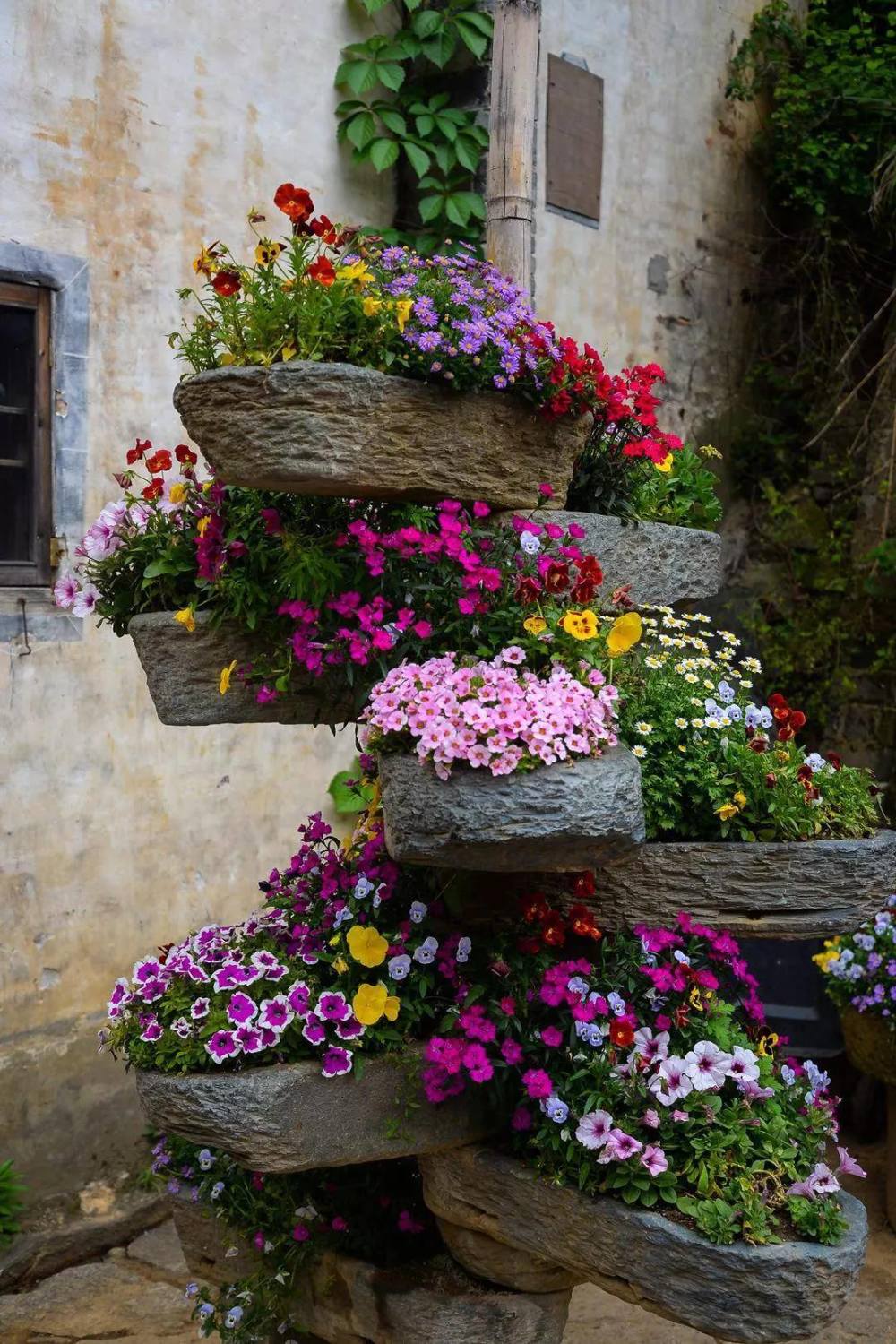 寻一个人,安一处家,种一树繁花