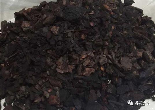 养花方法大总结，只要学会了，你就是养花大神！-第14张图片-农百科