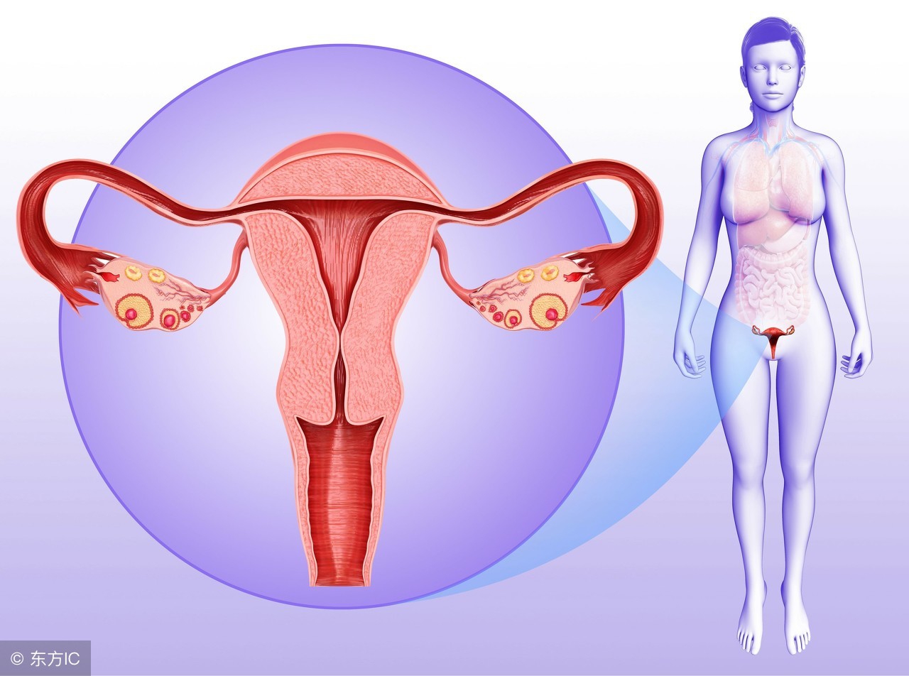 判断女性卵巢有没有排卵，方法有很多，B超检测更牢靠