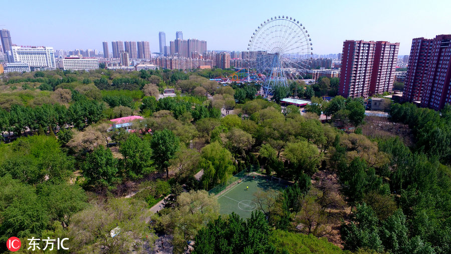 沈阳哪有室外篮球场(沈阳出了个“森林球场” 居民有福气)