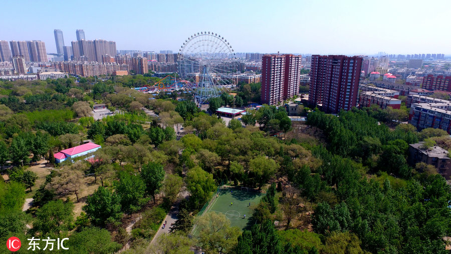 沈阳哪有室外篮球场(沈阳出了个“森林球场” 居民有福气)