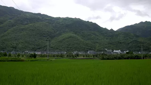 雕刻時光