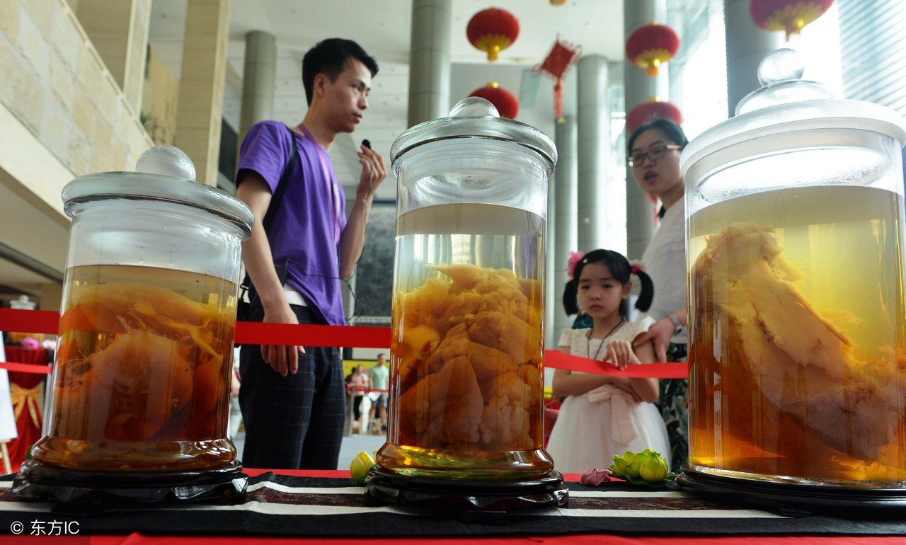 湖南有只太岁，重达一百斤，拥有者：祖传之宝，耗时千年才长成