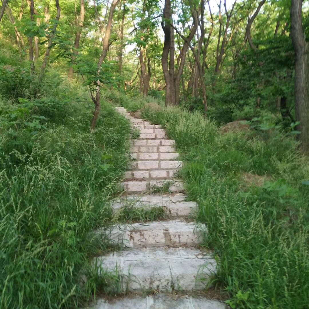 旅游景点,今日免票啦!(附雨后鹤伴山秀美图)