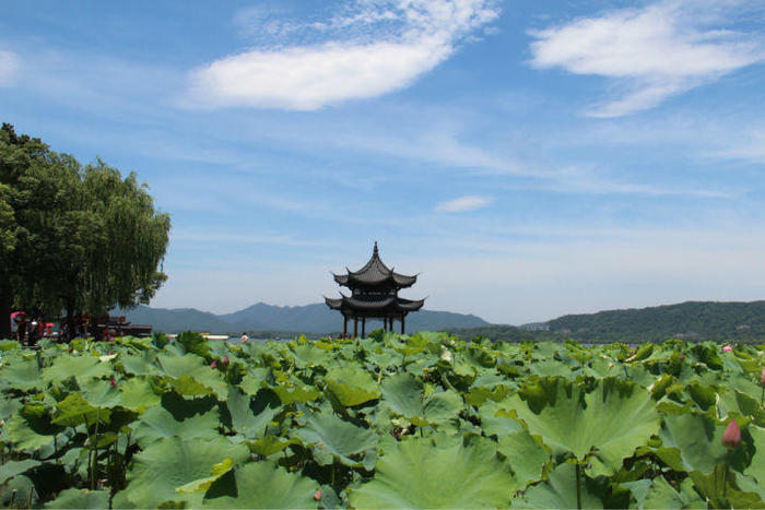 去杭州旅行看这一份攻略就够了！最经典最实用的线路任你挑选！
