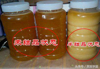 家政学堂：土蜂蜜的识别方法