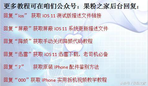 最新款iPhone详尽数据信息曝出，你喜爱哪一款？