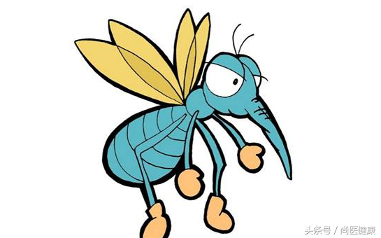 蚊虫叮咬很烦人，教你5个驱蚊方法，健康舒适度过夏天