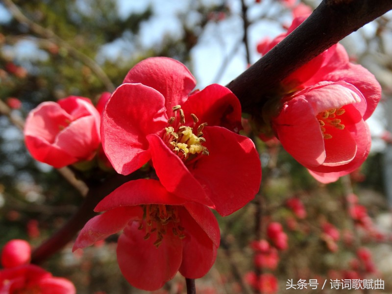 经典励志诗十首，激活生命能量