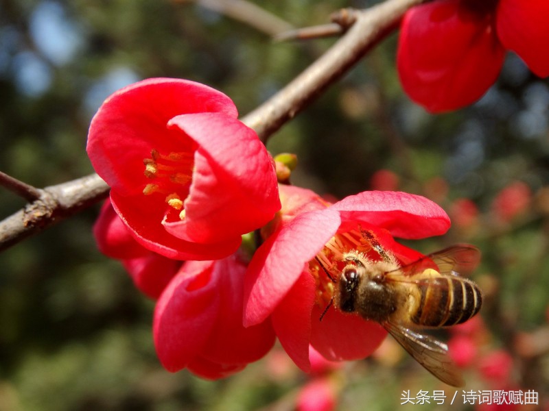 经典励志诗十首，激活生命能量，让强者能与更强者比肩的卓绝力量-第9张图片-非凡网
