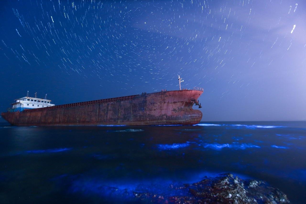 美爆 海边又现荧光海 神秘又奇幻的海滨城市值得一去 汽车 蛋蛋赞