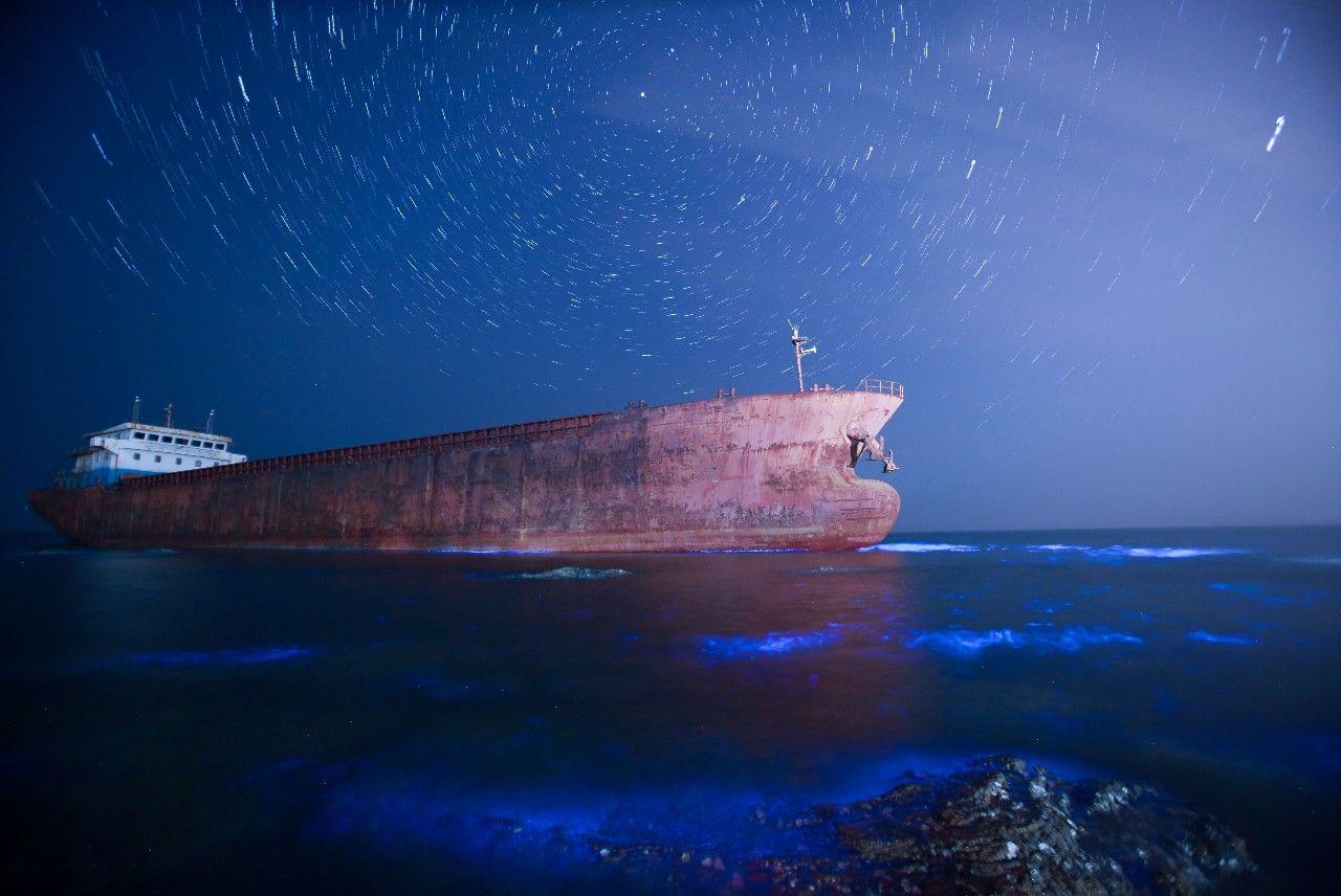 美爆 海边又现荧光海 神秘又奇幻的海滨城市值得一去 汽车 蛋蛋赞