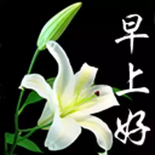 往后余生，愿你活得像一朵花的句子感悟图片