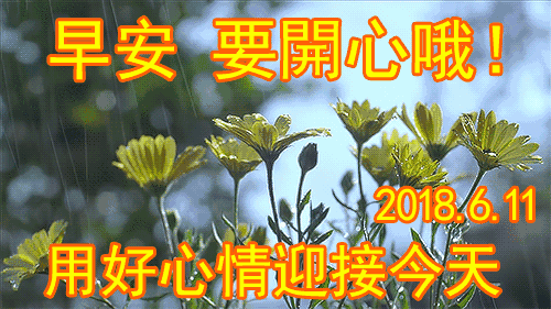 往后余生，愿你活得像一朵花的句子感悟图片