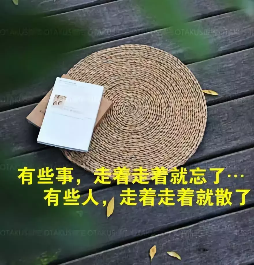 晚安的句子 简单晚安语录个性说说
