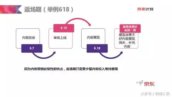 大促节点-爆款单品站内内容投放策略(京东)