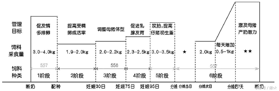 母猪肢蹄发炎，痛风，学了这一招，一键清除