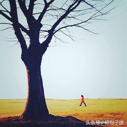 心情平静的优雅句子 平静淡如水的个性签名图片