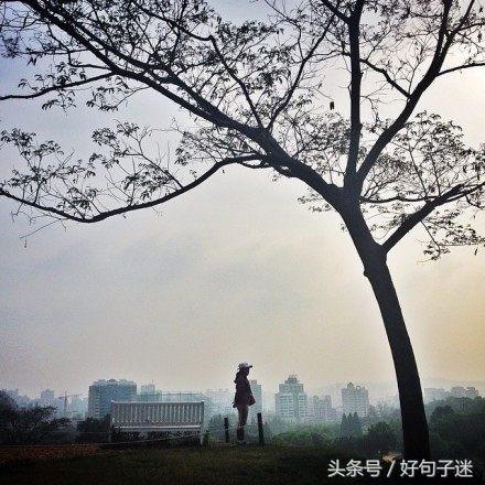 心情平静的优雅句子 平静淡如水的个性签名图片