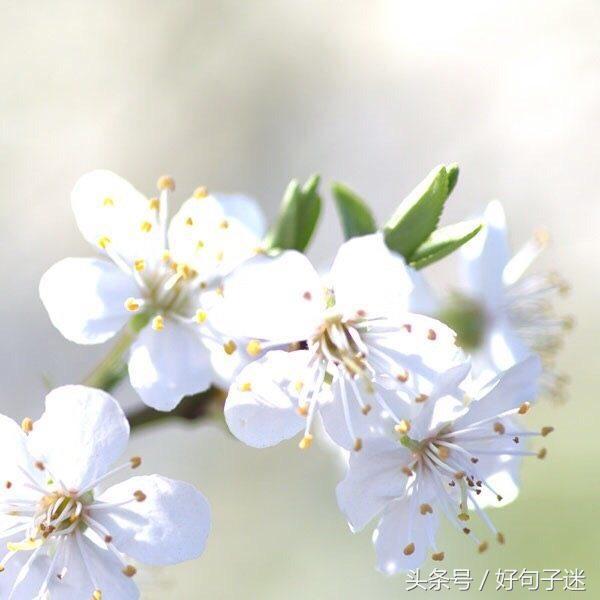 想念久别同学的说说 表现浓浓同学情的句子图片
