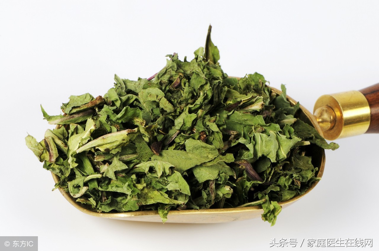 蒲公英是免费的养生药，但泡水喝有三大禁忌，喝错了没效果反伤身
