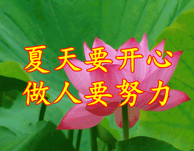 夏至节气祝福语、祝福短信,夏至的问候图片