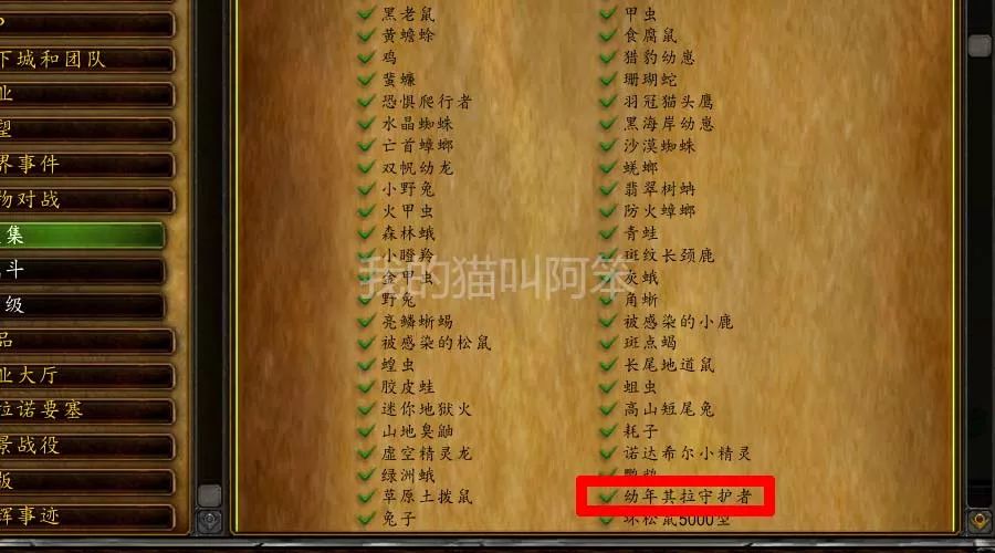 魔兽世界仲夏火焰节到来，篝火位置分享，幼年其拉守护者也能捉了