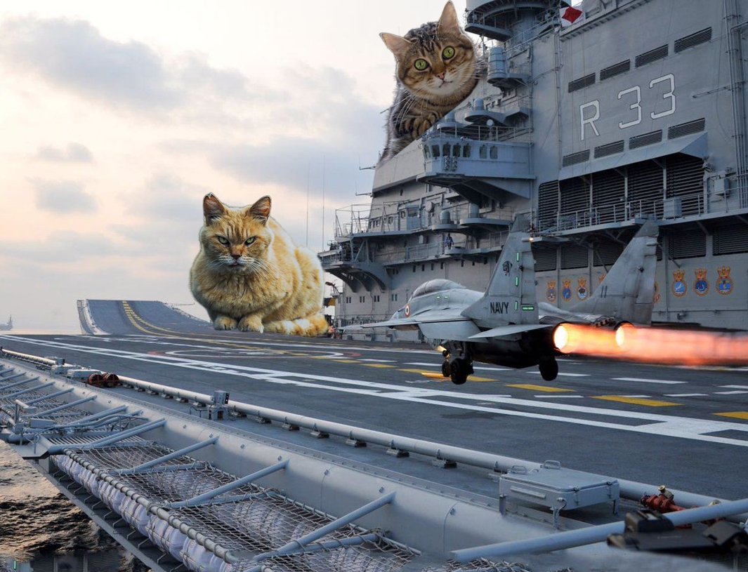 ���ֶ���˹��ӡ�Ⱥ���Ϊ��������ĸ�����������ػ��������˴�����