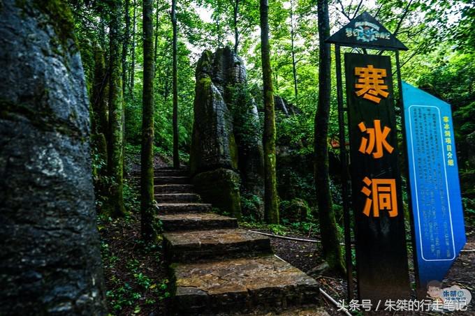 打卡重庆两个网红景点：一个差点治愈恐高症，一个夜色美的不像话