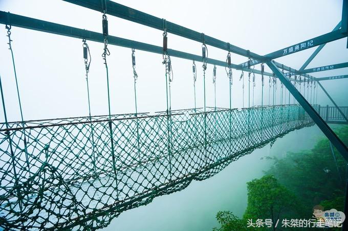打卡重庆两个网红景点：一个差点治愈恐高症，一个夜色美的不像话